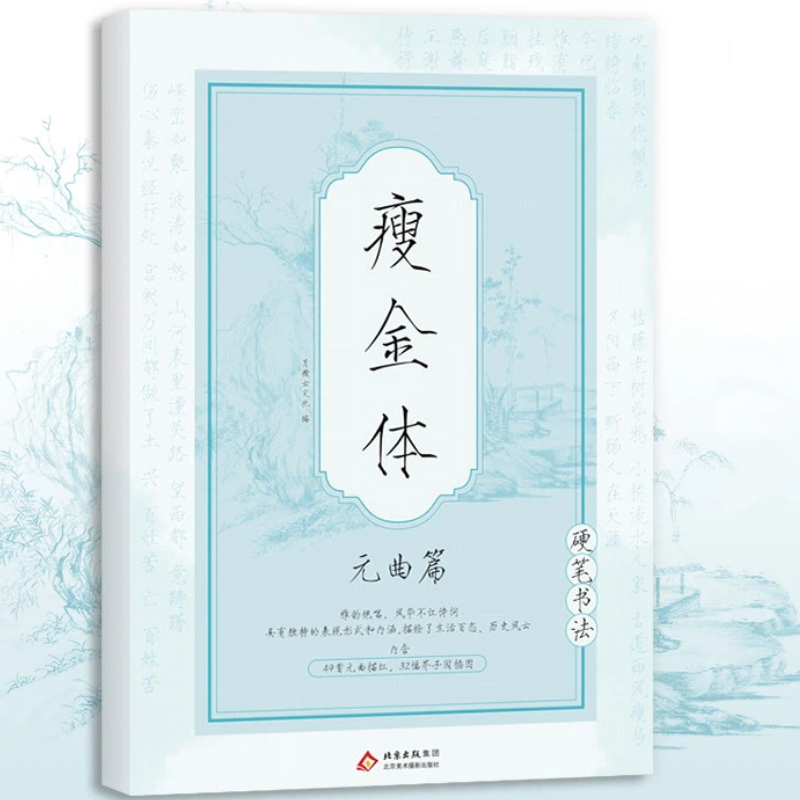 Chinese Writing  book Song Hui - Chinese Calligraphy Practice Book 评论和价格